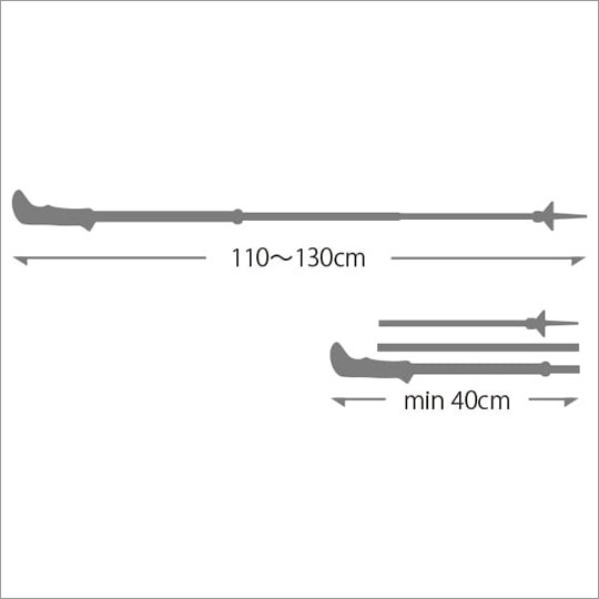 LEKI (レキ) BLACK SERIES FX CARBON 2本