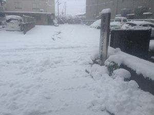 2016.01.14雪